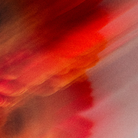 Powder Grapefruit Bergamot