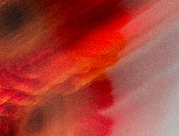 Powder Grapefruit Bergamot