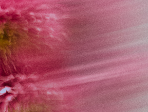 Powder Lavender Vanilla