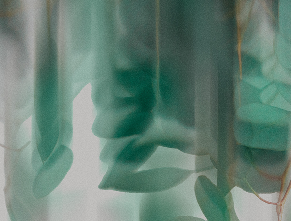 Prebiotic Deodorant Cucumber Mint