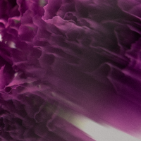 Magnesium Lavender