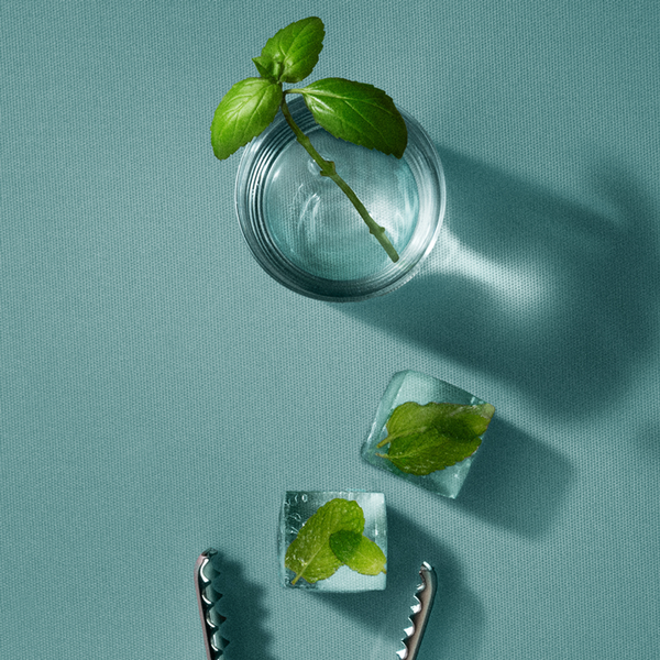 Body + Hair Basil Mint