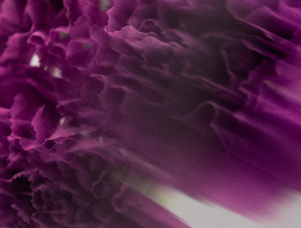 Magnesium Lavender