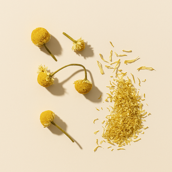Chamomile